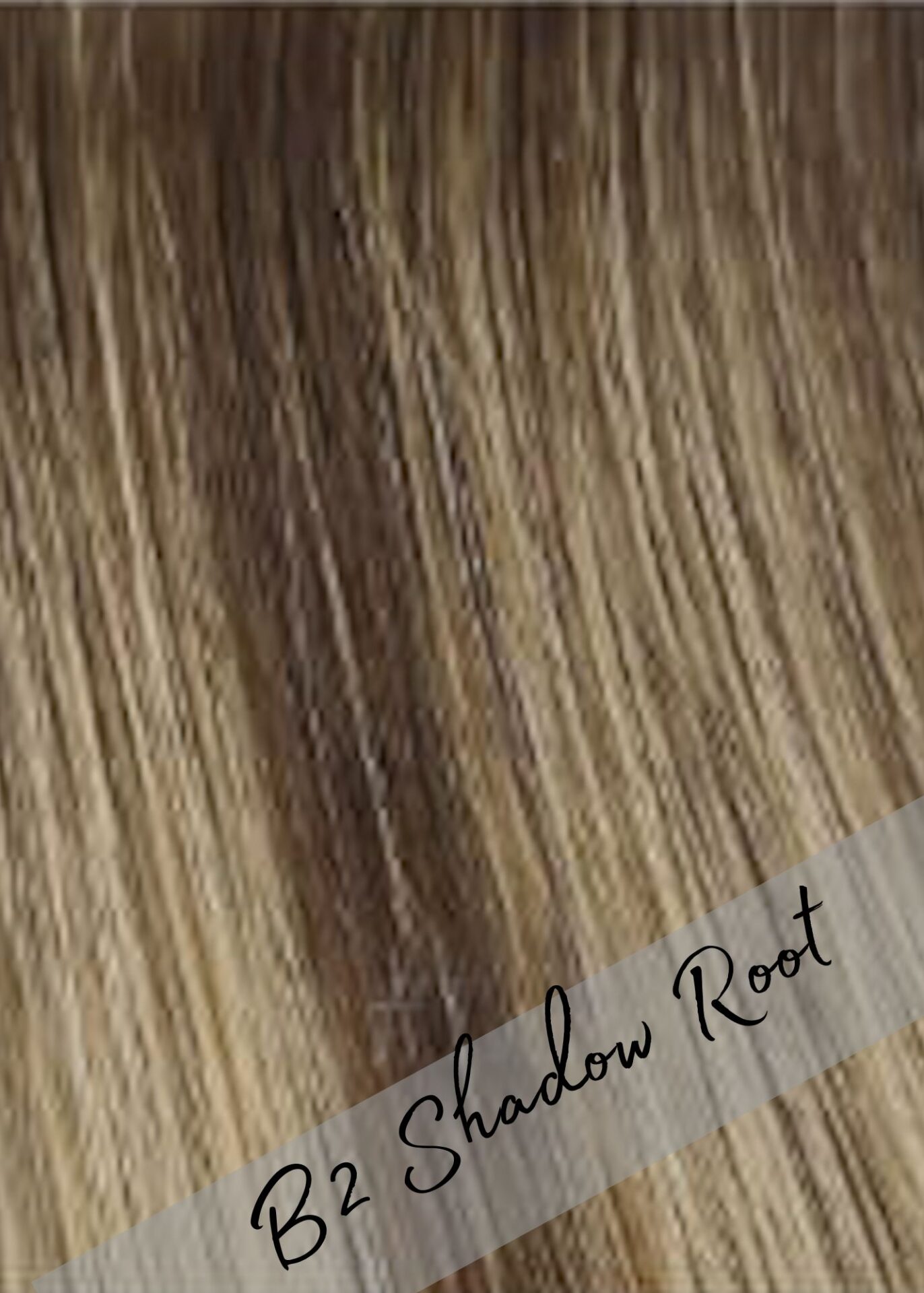 B2 Shadow Root