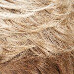 10/22TT Almond Biscuit